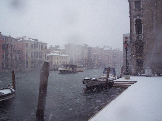 san stae with the snow